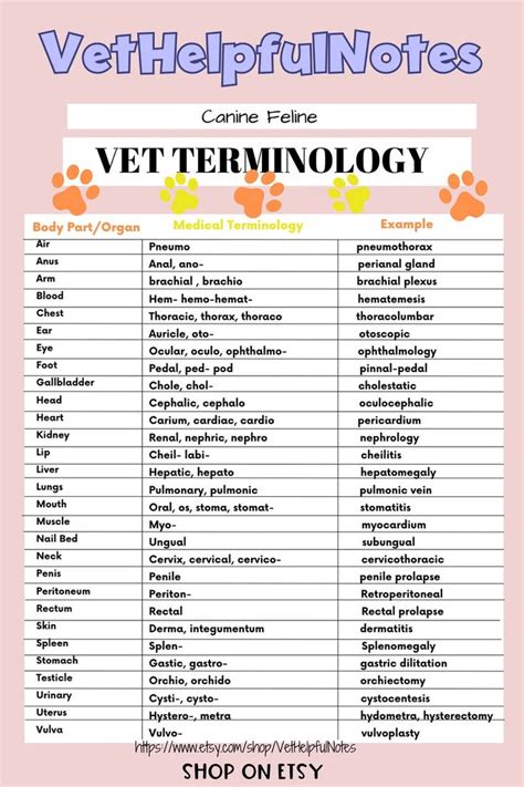 10 Essential Vet Tech Cheat Sheets For Quick Reference