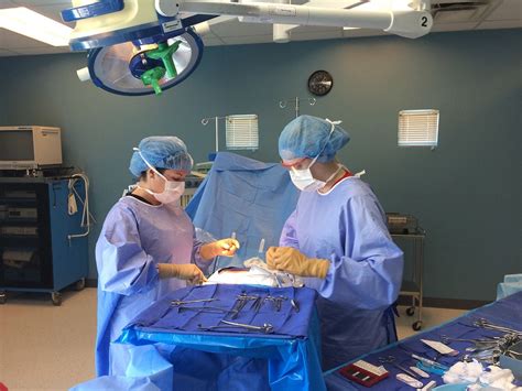 5 Best Surgical Tech Programs In Dallas