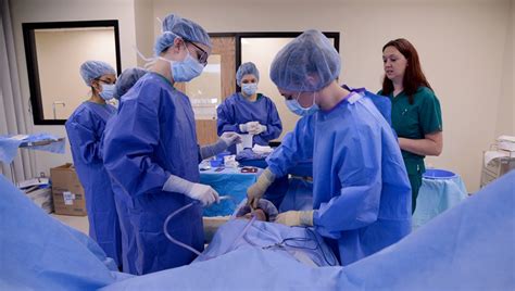 5 Best Surgical Tech Schools In Dallas