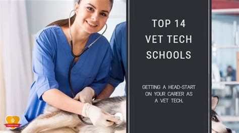 5 Best Vet Tech Programs In Kansas City