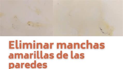 5 Causas De Manchas Amarillas En El Techo