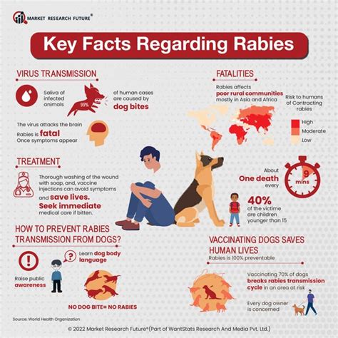 5 Essential Facts On Rabies Vaccine For Vet Techs