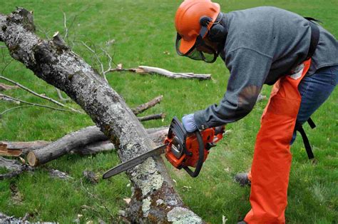 5 Essential Farm Tech Chainsaw Safety Tips