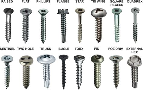 5 Essential Types Of Tech Screws