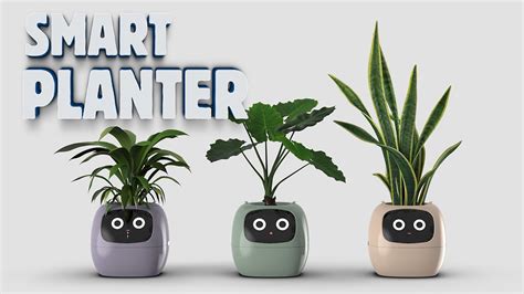 5 Smart Features Of High Tech Plant Pots