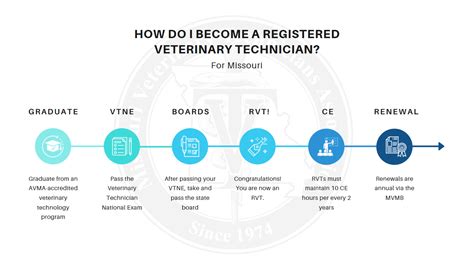 5 States Without Vet Tech License Requirements