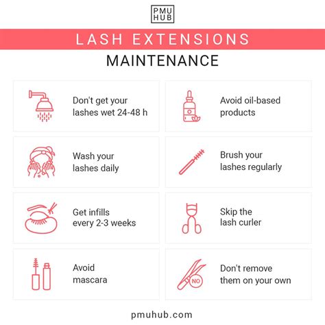 5 Steps To Become A Lash Tech In Alabama