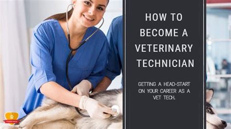 5 Steps To Become A Zoo Vet Tech