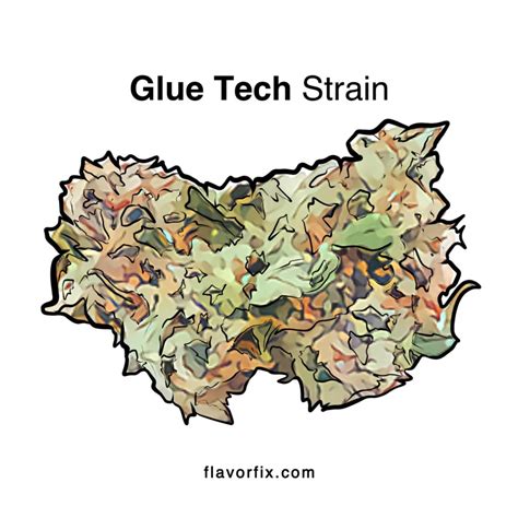 5 Things To Know About Glue Tech Strain