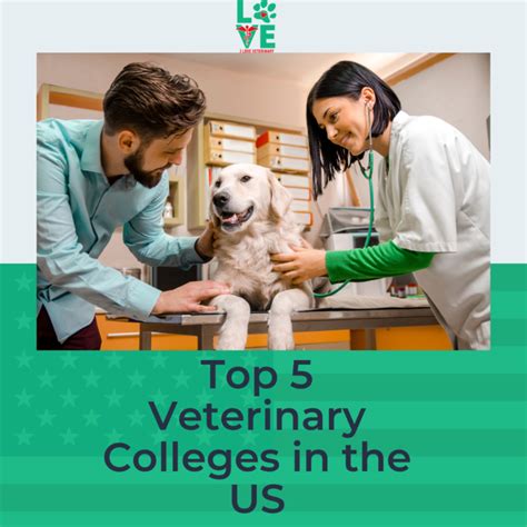 5 Vet Tech Schools In Montana