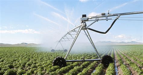 5 Ways Agri Tech Liquid Lime Boosts Crop Yield