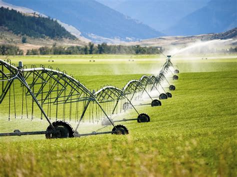 5 Ways Aqua Tech Irrigation Saves Water