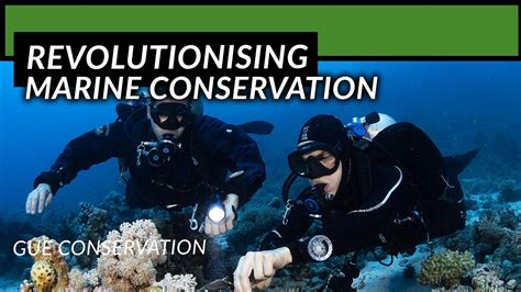 5 Ways Eco Tech Is Revolutionizing Marine Conservation