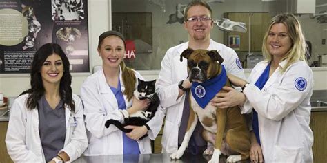 5 Ways Macomb Community College Prepares Vet Techs