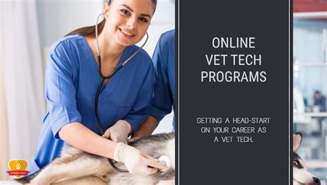 5 Ways Nova Vet Tech Program Stands Out