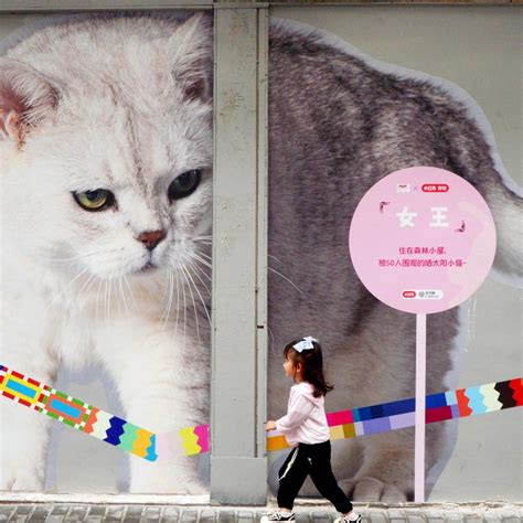 5 Ways Shanghai Tech Fights Cat Killer Disease