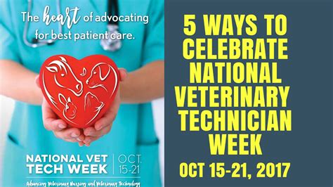 5 Ways To Ace Vet Tech Quizzes