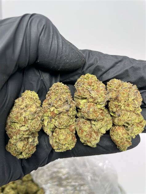 5 Ways To Identify High Tech Strain In Cannabis