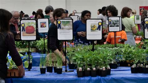 5 Ways To Score At Hennepin Techs Plant Sale