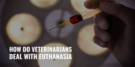 5 Ways Vet Techs Deal With Euthanasia Decisions