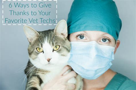 5 Ways Vet Techs Use Salt Therapy