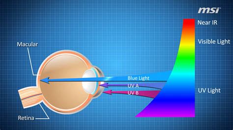 6 Ways Bluelight Tech Affects Your Eyes