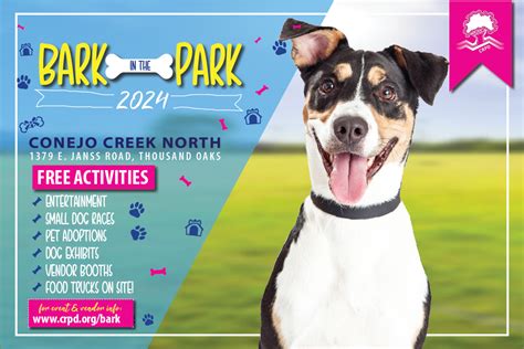 6 Ways To Enjoy Bark In The Park At Texas Tech