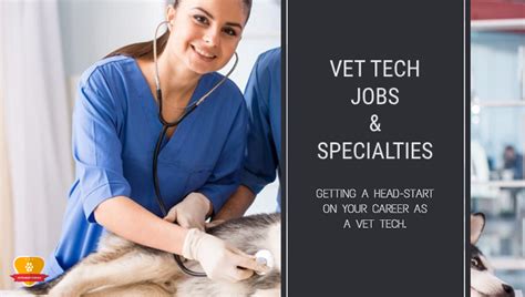 7 High-Paying Relief Vet Tech Jobs