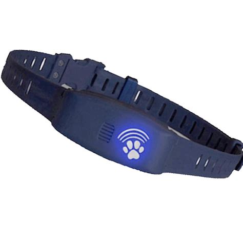 7 High Tech Dog Collars To Upgrade Your Pets Style