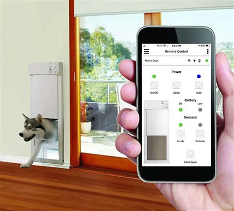 7 Ways Hi-Tech Dog Doors Are Changing Pet Care