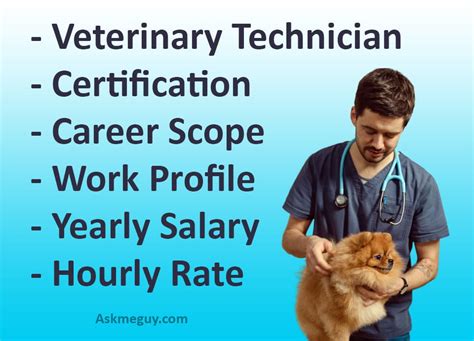 7 Ways To Boost Vet Tech Pay In California