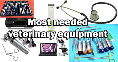 8 Essential Vet Tech Accessories You Need Today