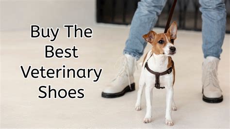 Best Shoes For Vet Techs: Comfort And Support