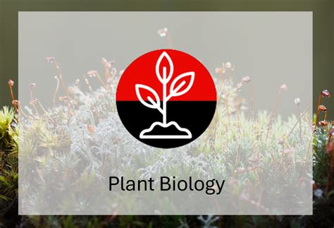 Biology Programs At Texas Tech University Explained