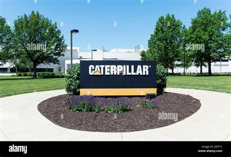 Cat Tech Center Mossville Il: Expert Cat Care Services