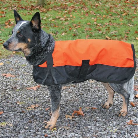 Dura Tech Dog Coat: Ultimate Waterproof Canine Protection