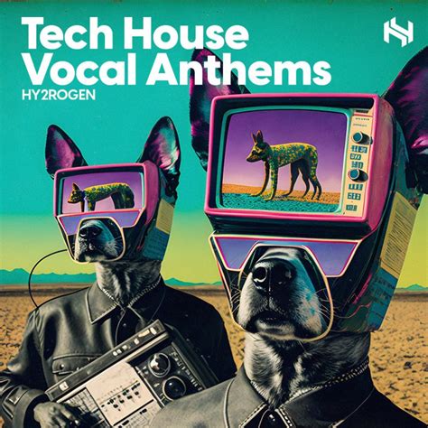 Elevate Your Tracks With Tech House Vocals Techniques