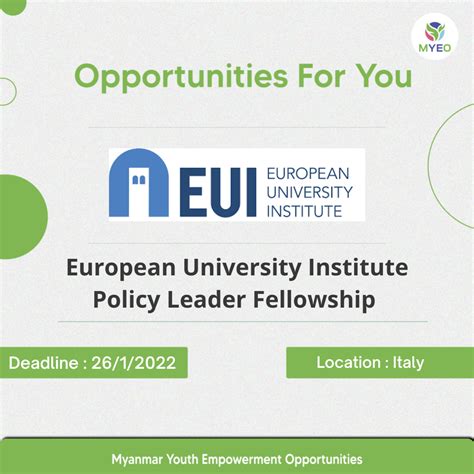 Eu Tech Policy Fellowship: Empowering Digital Leaders