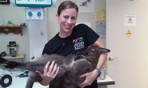 Exotic Vet Tech: Caring For Unconventional Pets