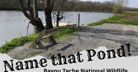 Exploring Bayou Teche National Wildlife Refuge