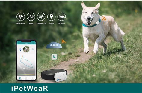 Fido Tech: Innovative Pet Wearables And Trackers