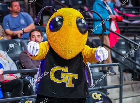 Georgia Techs Beloved Mascot: The Yellow Jacket