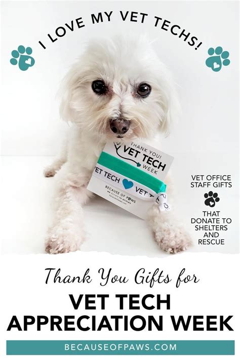 Gift Ideas For Veterinary Technicians Theyll Love