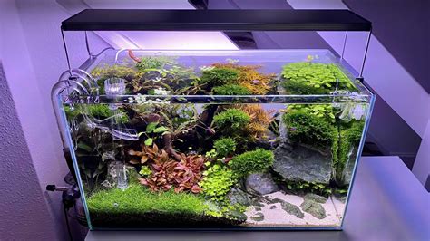 High Tech Fish Tanks For The Modern Aquarist