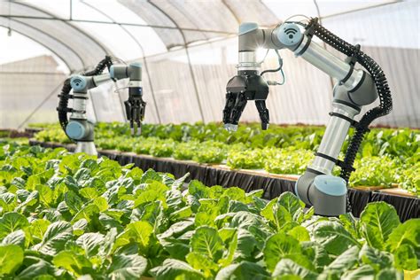 Hort Tech: Revolutionizing The Future Of Farming Today