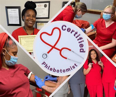 Ivy Tech Phlebotomy Program: Training For A Rewarding Career