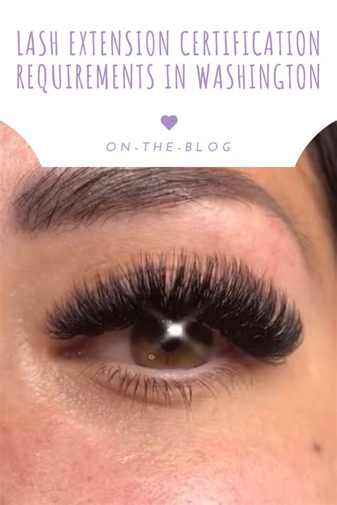 Lash Tech Requirements In Georgia: What You Need To Know