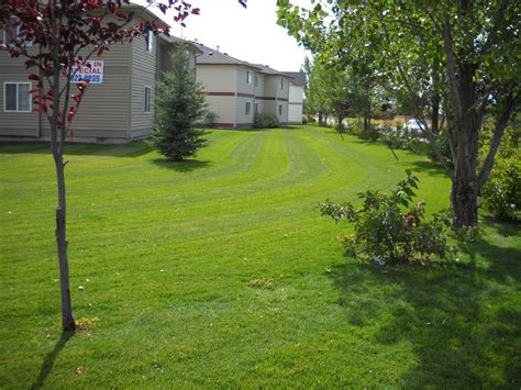 Lawn Tech Idaho Falls: Expert Lawn Care Solutions