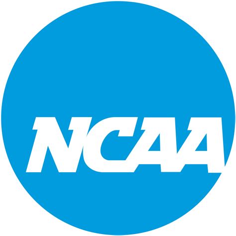 Michigan Tech Volleyball Team Excels In Ncaa Division Ii