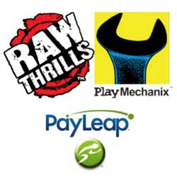 Raw Thrills Tech Support Solutions